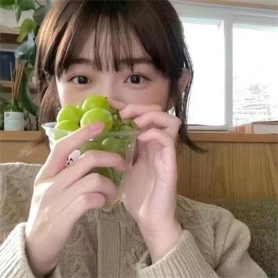 我可爱的宾杜